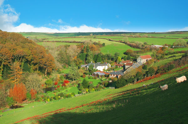 The Local Area - Grounds
