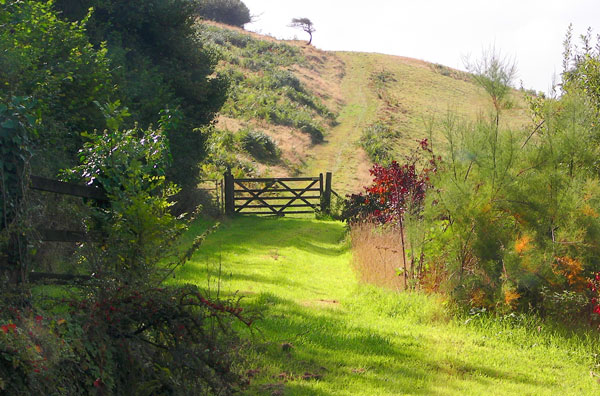 The Local Area - Grounds