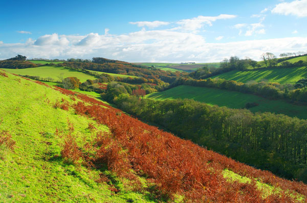 The Local Area - Grounds