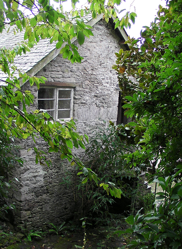 The Gardens - Flowers