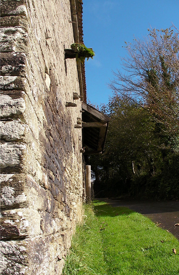 The Gardens - Flowers