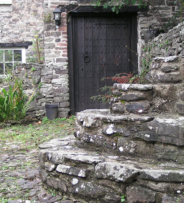 The Gardens - Flowers